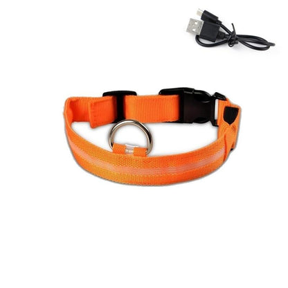 LED Light Up Collar (USB) - Dogs and Horses