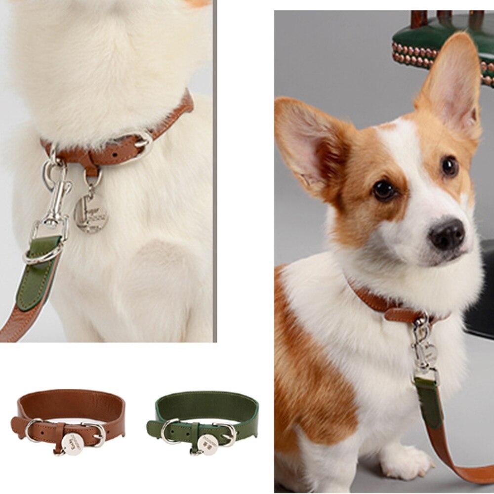 Lucca Brown Leather Collar & Leash Set - Dogs and Horses