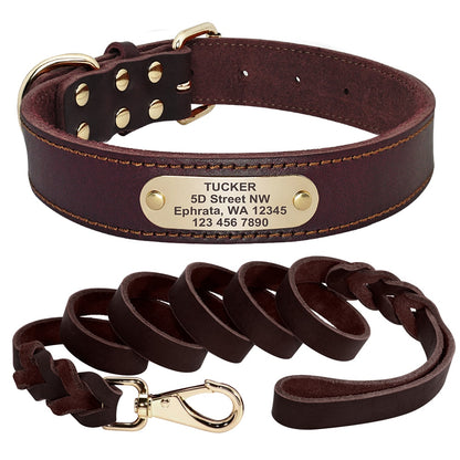 Bergamo Brown Leather Collar & Leash Set - Dogs and Horses