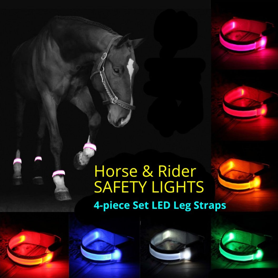 Horse Leg Straps LED Lights - Dogs and Horses
