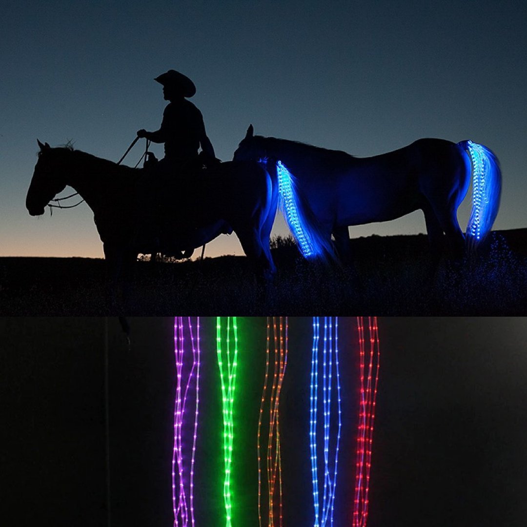 Horse Tail Lights - Dogs and Horses