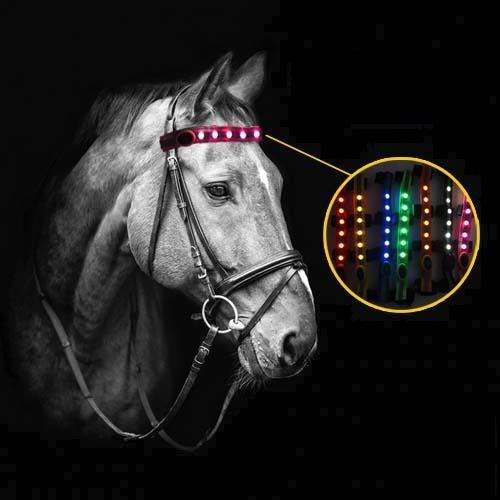 Horse Halters Head Straps LED Lights - Dogs and Horses