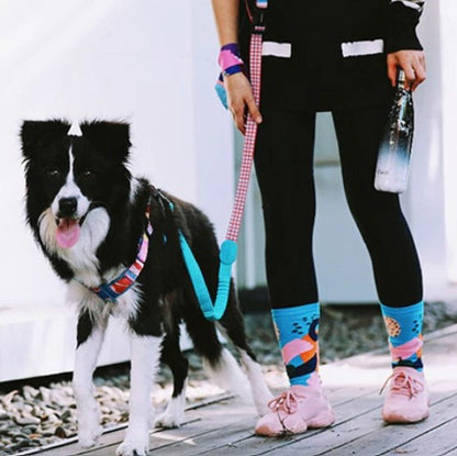 Capri Mountain Hands Free Bungee Dog Leash - Dogs and Horses