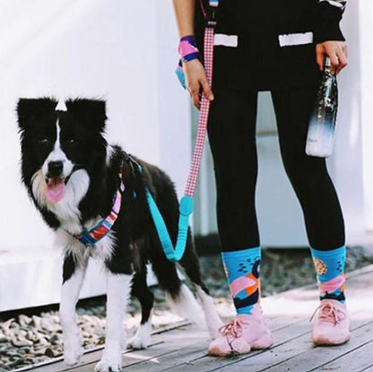 Capri Pop Hands-Free Bungee Dog Leash - Dogs and Horses
