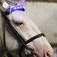 Horse Halters Head Straps LED Lights - Dogs and Horses