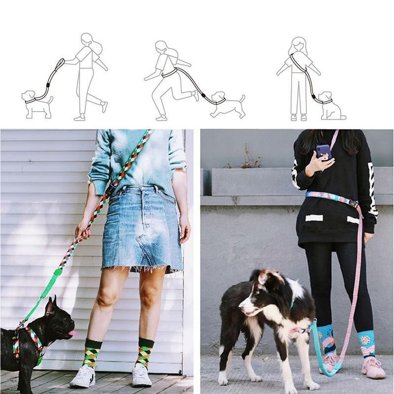 Capri Mountain Hands Free Bungee Dog Leash - Dogs and Horses