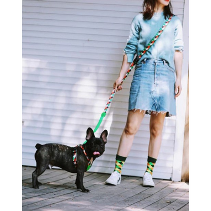 Capri Pop Hands-Free Bungee Dog Leash - Dogs and Horses