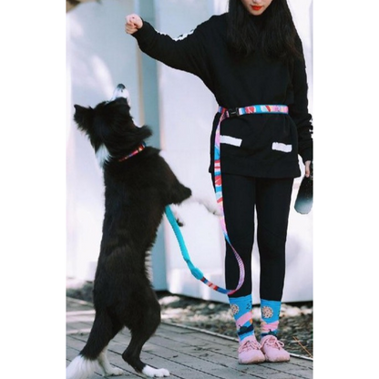 Capri Pop Hands-Free Bungee Dog Leash - Dogs and Horses