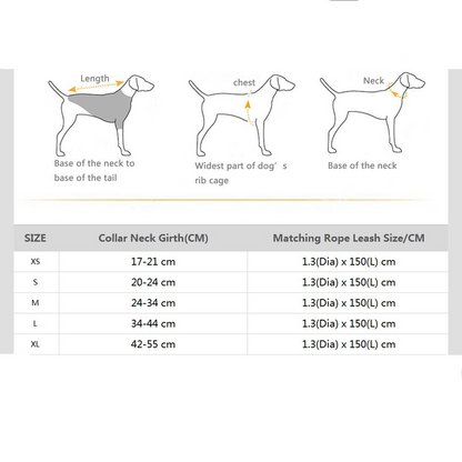 Venice Yellow/Blue Collar - Dogs and Horses
