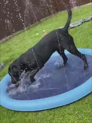 Splash Sprinkler Pad for Pets