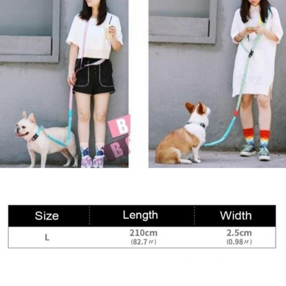 Capri Pop Hands-Free Bungee Dog Leash - Dogs and Horses