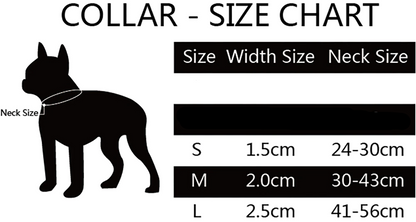 Bari Meteor Collar - Dogs and Horses